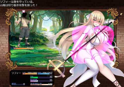 修道女ソフィーと魔女の呪い　レビュー