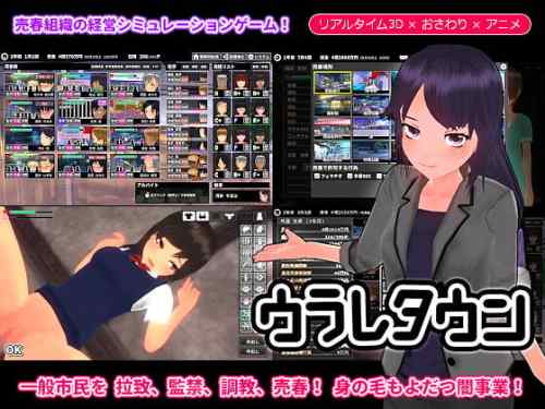 女の子を調教して売春させるゲームがあるらしいｗｗｗｗｗ