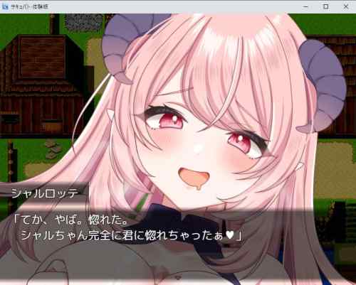サキュバト～色仕掛けに堕ちて搾られまくる勇者～　レビュー