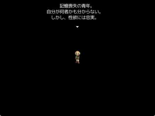 「ハーレムファンタジー この世を救うは善か悪」 レビュー