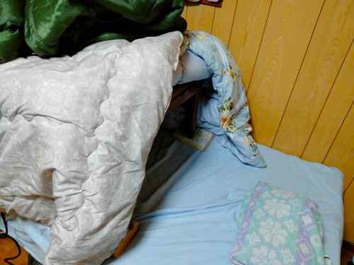服やったりして成功目指す、あとIP展開も……変わりゆく同人？―皆のci-enまとめvol237