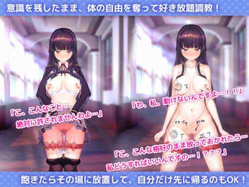 【同人エロゲ】商業エロゲよりも同人エロゲのほうが抜けるんだがｗｗｗｗｗ